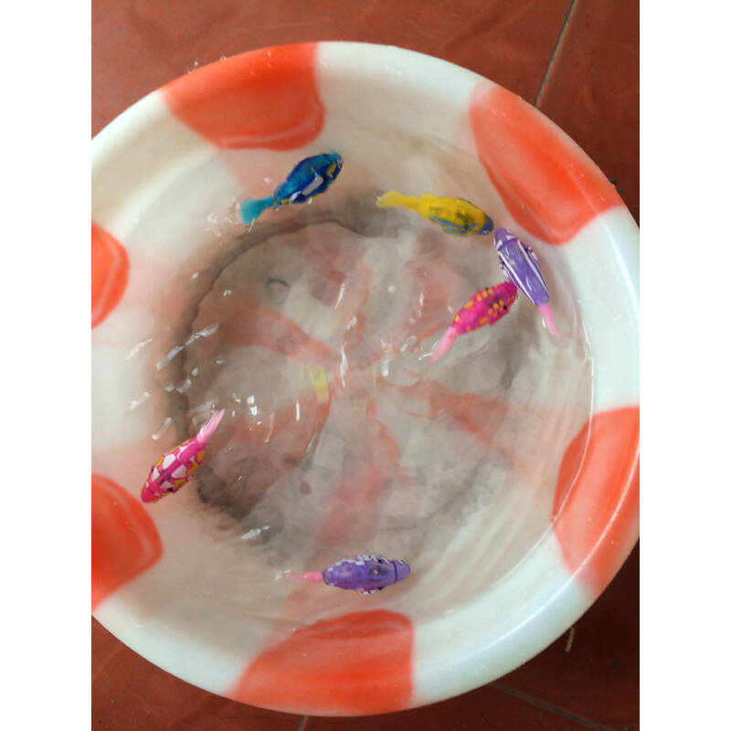 乐乐鱼电子宠物鱼 神奇乐宝鱼仿真鱼会游泳洗澡戏水玩具自动游泳宠物