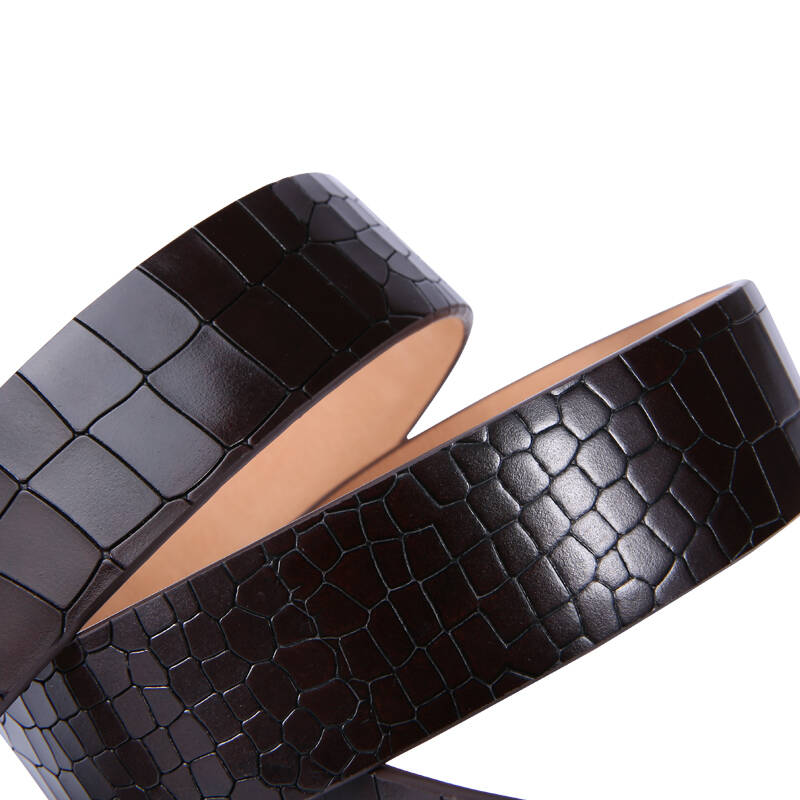 夏利豪 charriol男士腰带牛皮鳄鱼纹针扣皮带 l1b096q-02【图片 价格