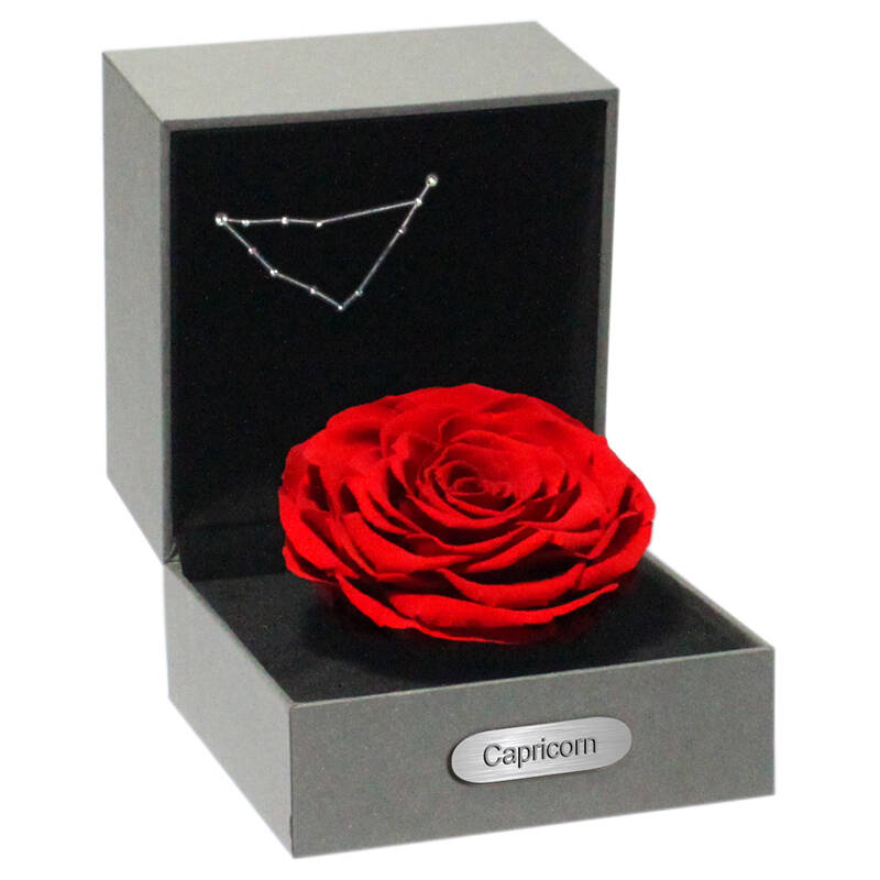 繁花集 为你写一封情书12星座系列摩羯座巨型永生玫瑰花盒 圣诞节情人