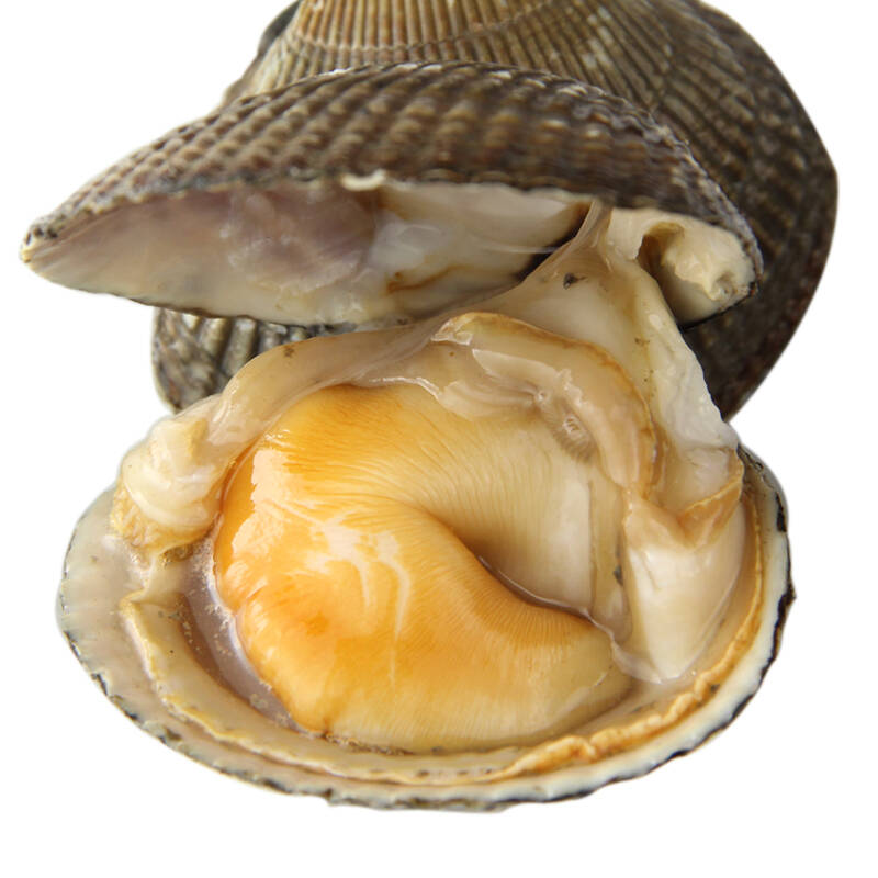 大渔场 大连鲜活带壳鸟贝金钩贝 500g