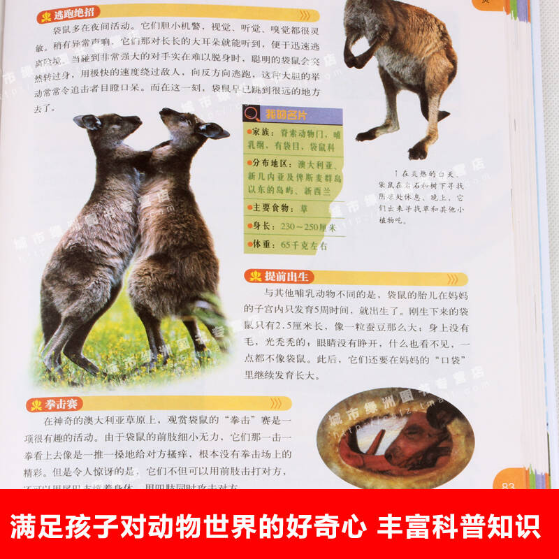 版 動物世界大百科精裝彩色圖文版7-14歲動物百科全書恐龍科普百科