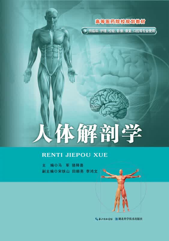 人体解剖学(彩色版)/高等医药院校规划教材 自营