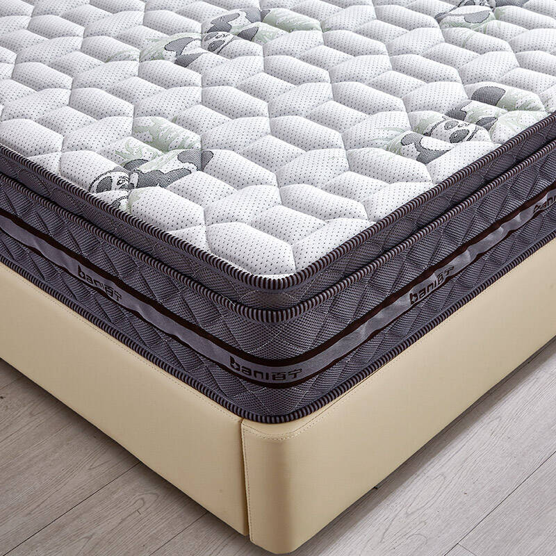 百宁床垫厚 棕垫床垫 海绵椰棕硬床垫 护脊 单人双人弹簧床垫t006