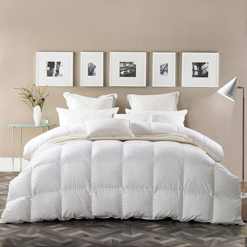 迎馨 床品家纺 全棉舒适鸭毛羽毛被 冬被被芯 白色 200*230cm【图片