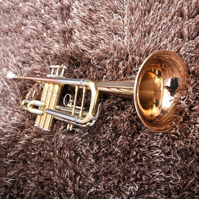 津宝jbtr-410小号三音号bb降b调管乐队