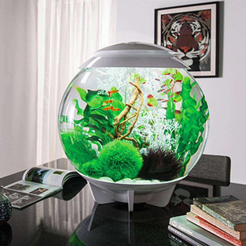biorb 60l英国进口亚克力大型鱼缸 生态创意桌面水族箱 一体圆形鱼缸