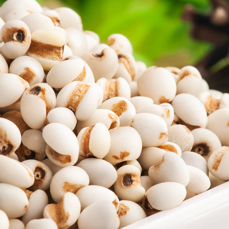 乐食麦 有机薏仁米300g 米仁 东北特产 有机五谷杂粮粗粮