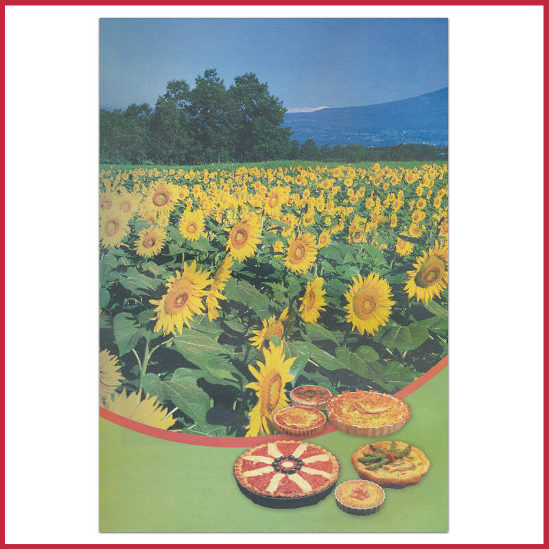 2016年适用人教版高中化学课本教材教科书 选修1一 化学与生活 人民