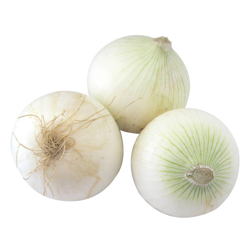 farmgirl 白洋葱 2个 约500g 自营 新鲜蔬菜