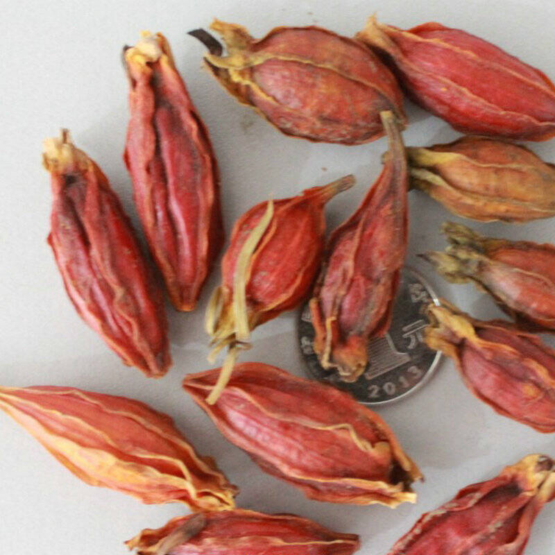 香远花邺 花卉种子 栀子花种子 500g