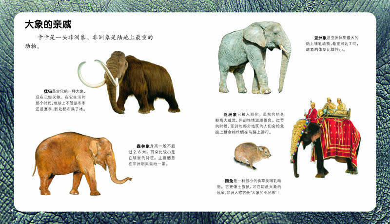 海豚科学馆:幼儿第一套动物科普图画书(套装全20册)