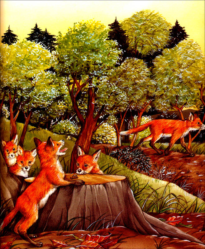 谁在夜里不睡觉/我的第一套大自然绘本