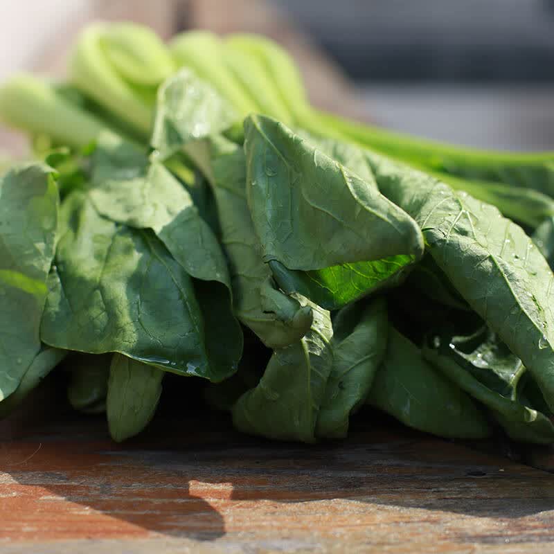 【嘉仕有机】新鲜蔬菜 有机肉白菜200g装 农场直供现货 现摘蔬菜
