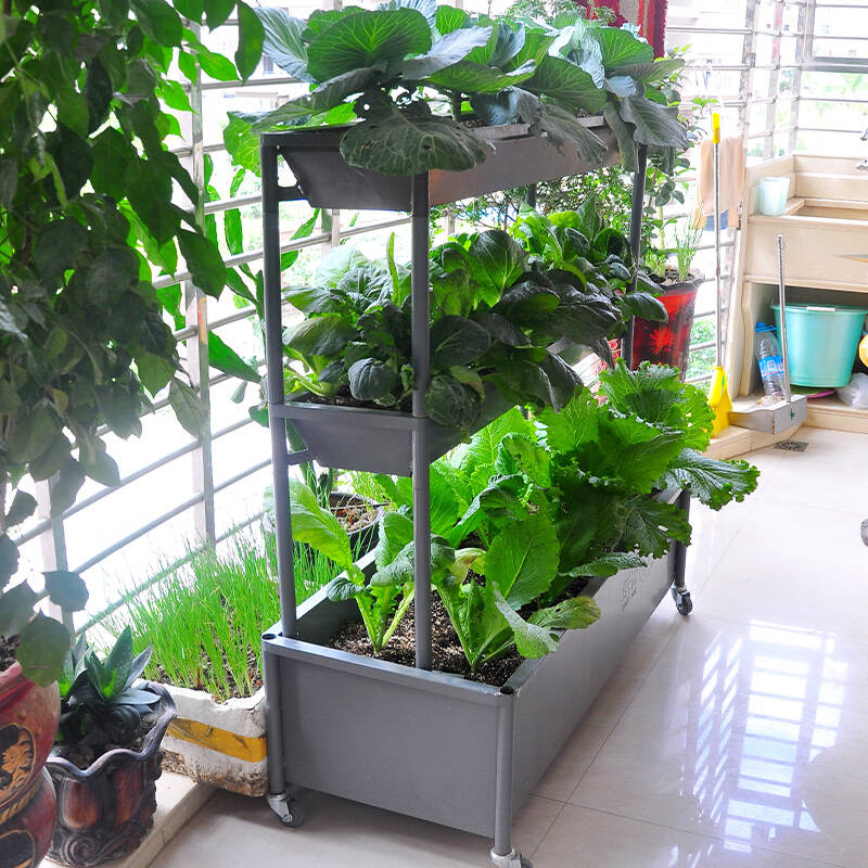新滢 铁艺花架 阳台蔬菜种植架多功能瓜果种植箱菜园种菜架子