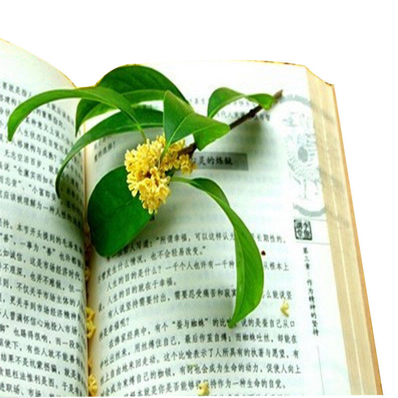 园艺树木种子 种苗 林木种子 苗木花木大树种子 散装 桂花树种子 30粒