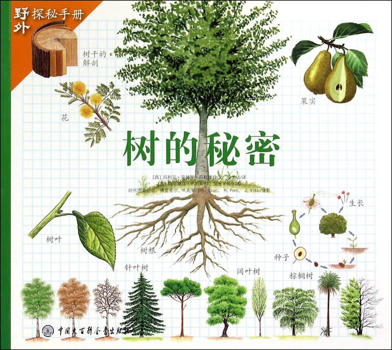 树的秘密/野外探秘手册 自营