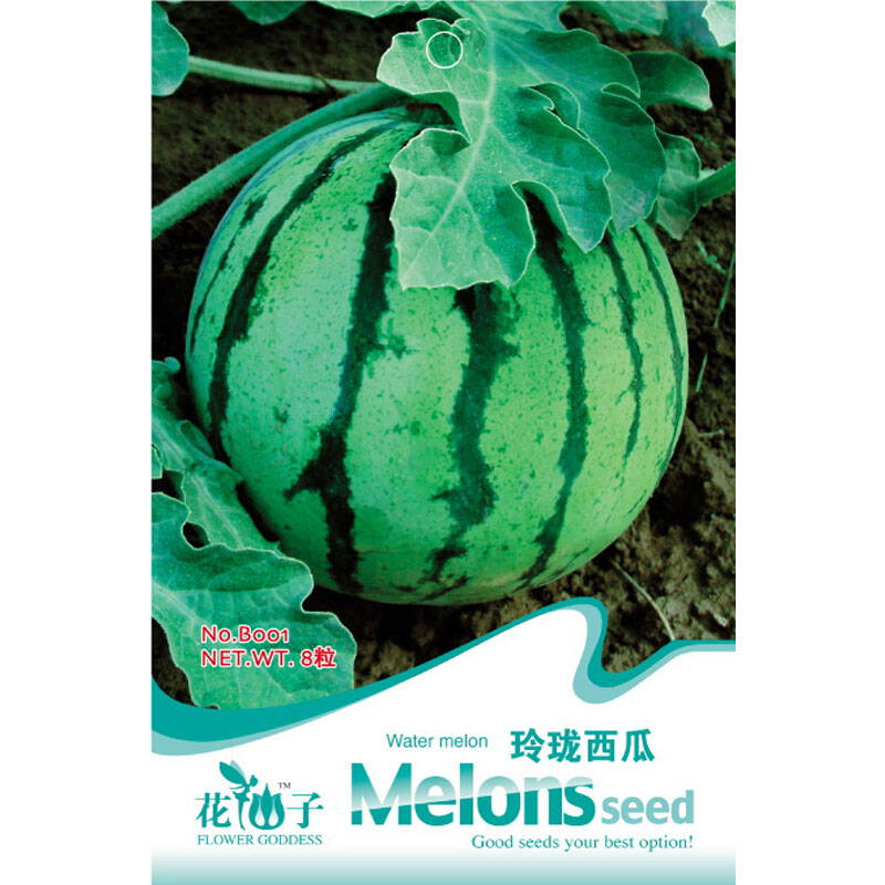 寿禾 玲珑西瓜 花卉观赏瓜果种子 约8粒 家庭阳台种植