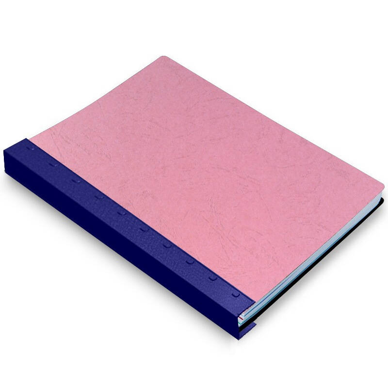 dsb 优质装订夹条 蓝色 a4 3mm 装订30页 10孔/齿 100根/盒 塑料压条