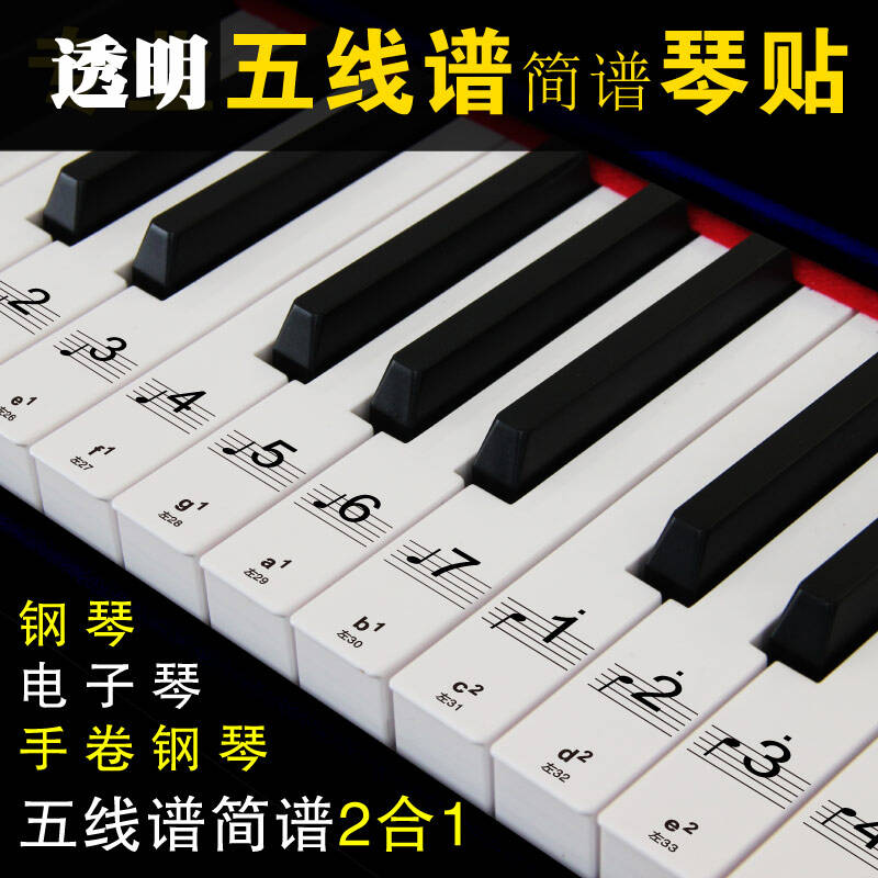 电子琴键盘贴88键61键透明五线谱简谱键位贴