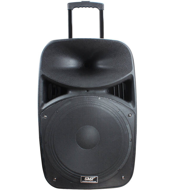 先科(sast)1205 15寸广场舞音响 拉杆音箱 大功率户外k歌音响 舞台
