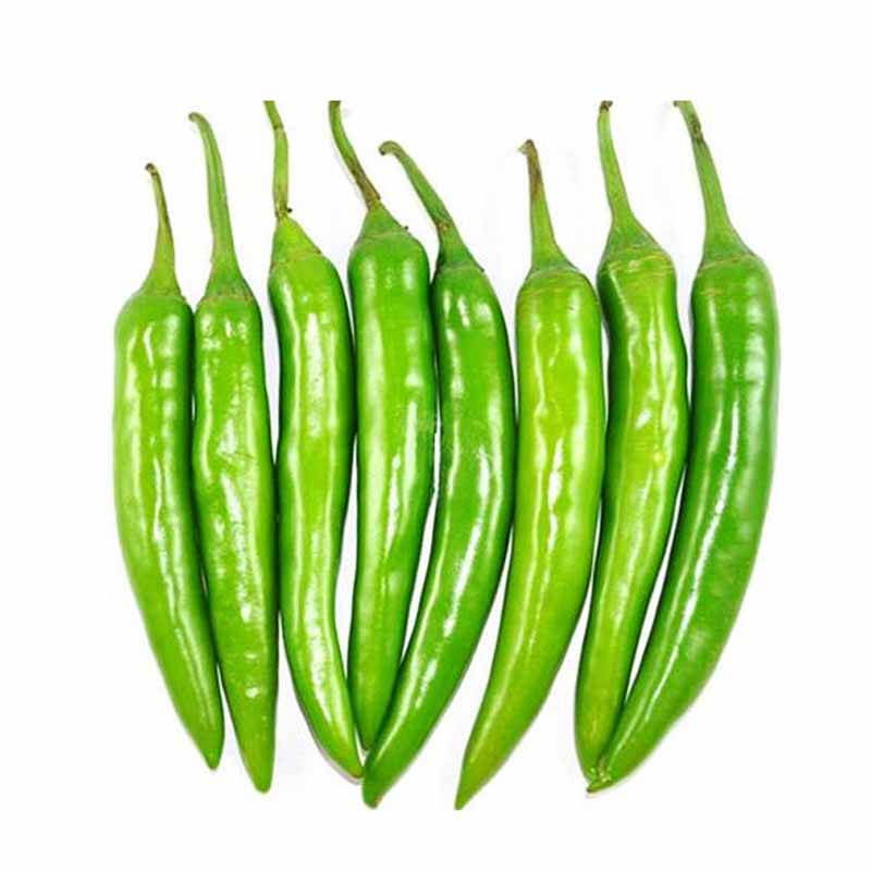 【任我在线】北京同城配送 精品杭椒 辣椒 辣子 精品蔬菜 新鲜 直达