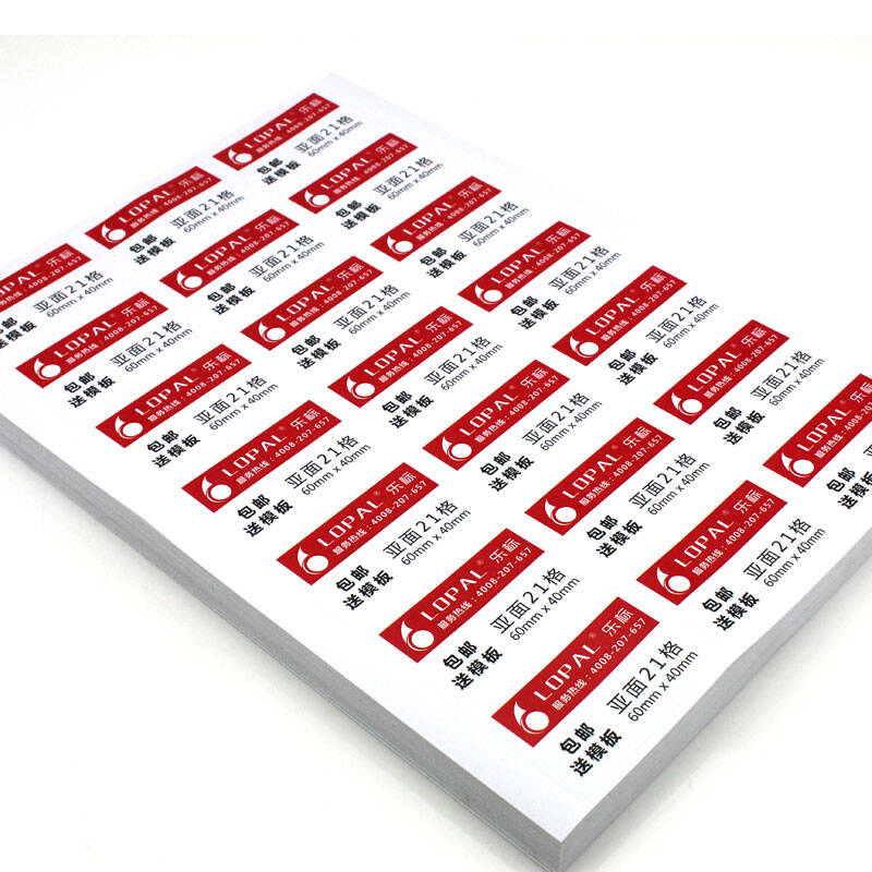 乐标(lopal) a4不干胶 标签纸打印纸贴纸空白书写纸激光喷墨切割 亚面