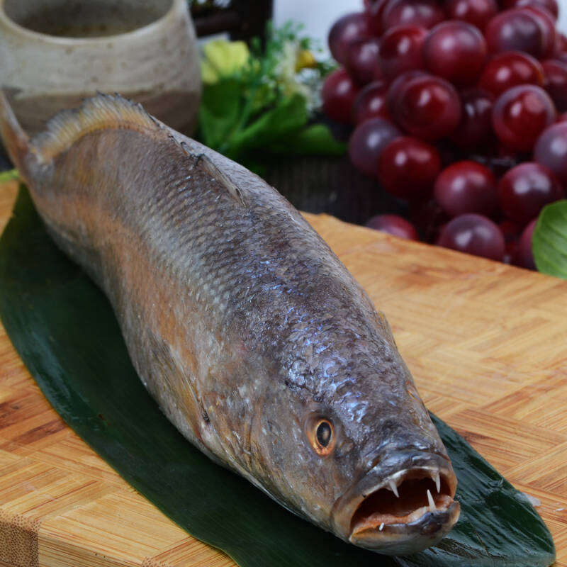 【肴易食】马达加斯加进口冷冻三牙鱼 900g 海鲜水产食材美食
