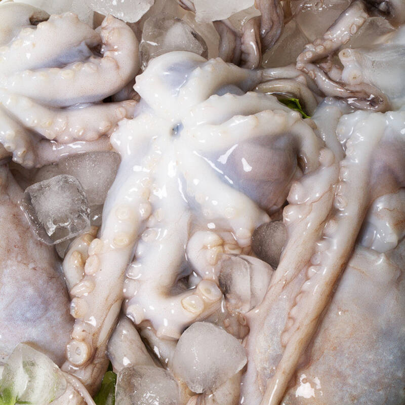 御鲜轩 南海中章鱼 500克/袋 新鲜爽脆八爪鱼 火锅烧烤 海鲜水产