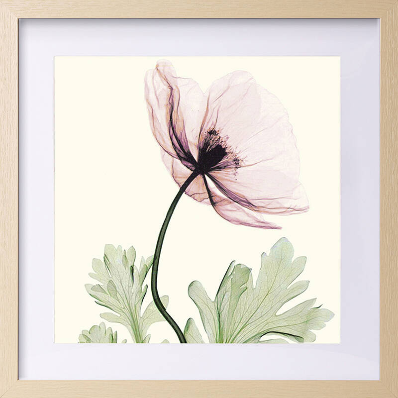 简约现代田园小清新装饰画 客厅卧室有框挂画透明花卉壁画 i款单幅