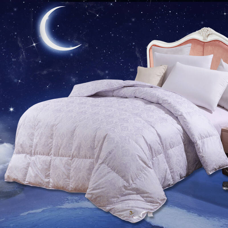 皖绒羽绒被95鹅绒被冬被双人被精选皖西白鹅羽绒超值特惠 200*230cm