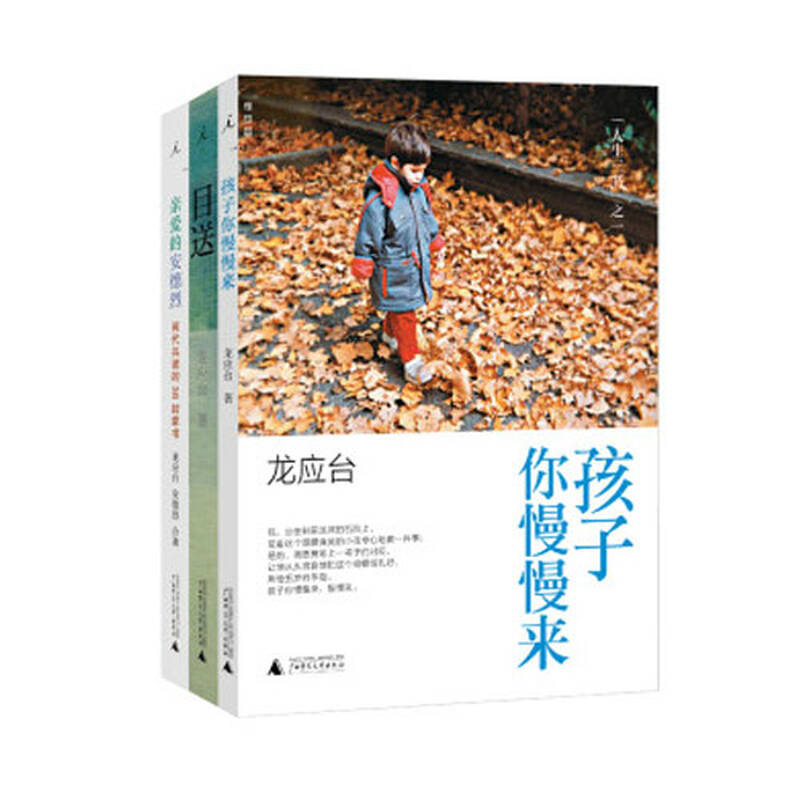 龙应台"人生三书"(目送 亲爱的安德烈 孩子你慢慢来)(套装共3册)