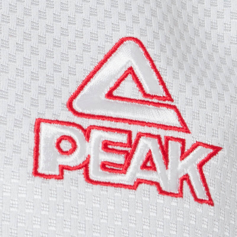 peak匹克篮球服套装男夏正品训练服v领比赛球衣透气运动服团购f733171