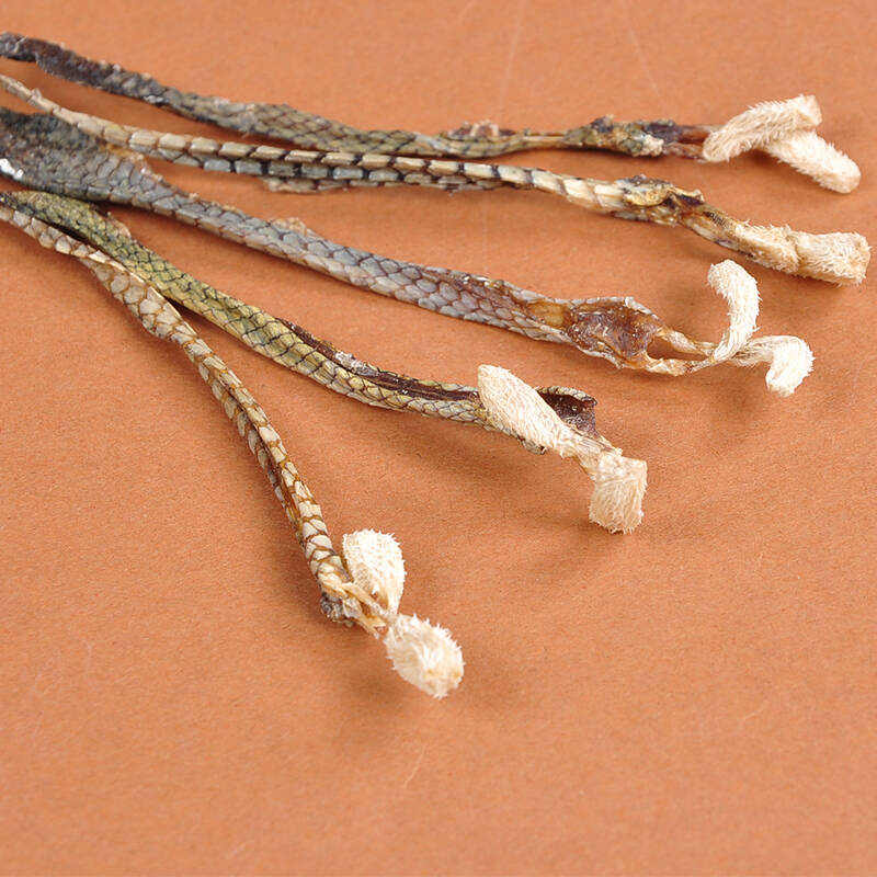 泡酒料 五步蛇鞭 干蛇鞭