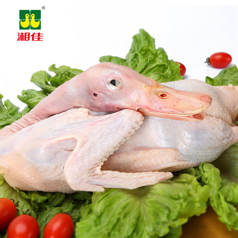 【湖南馆】湘佳农家散养土鸭草鸭肉 正宗新鲜老鸭子现杀煲老鸭汤 真空