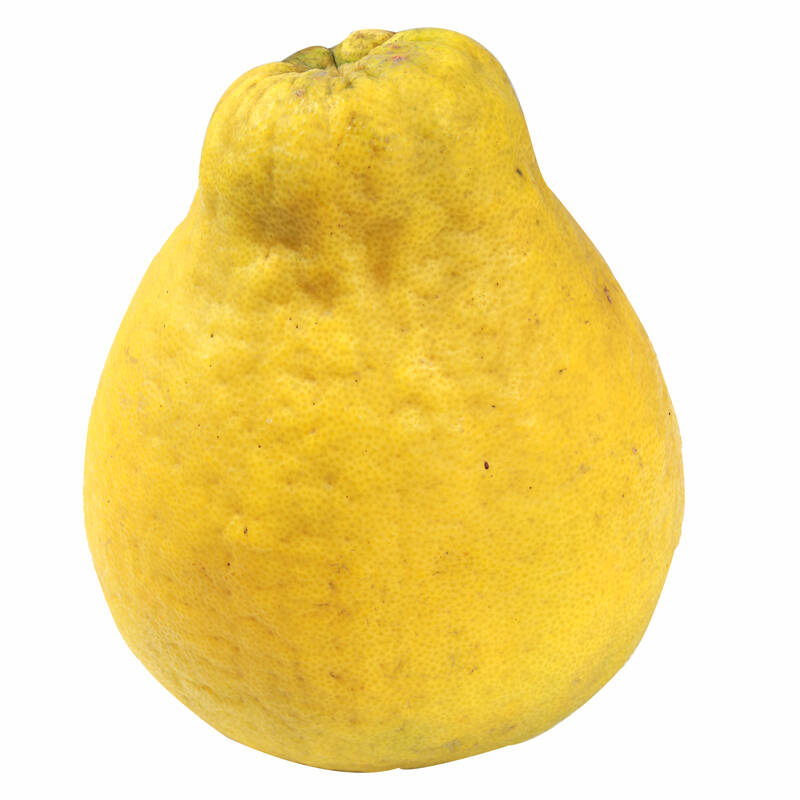 【鲜甜多】赣南斋婆柚 超福建平和琯溪蜜柚 柚子新鲜水果礼品装 六省