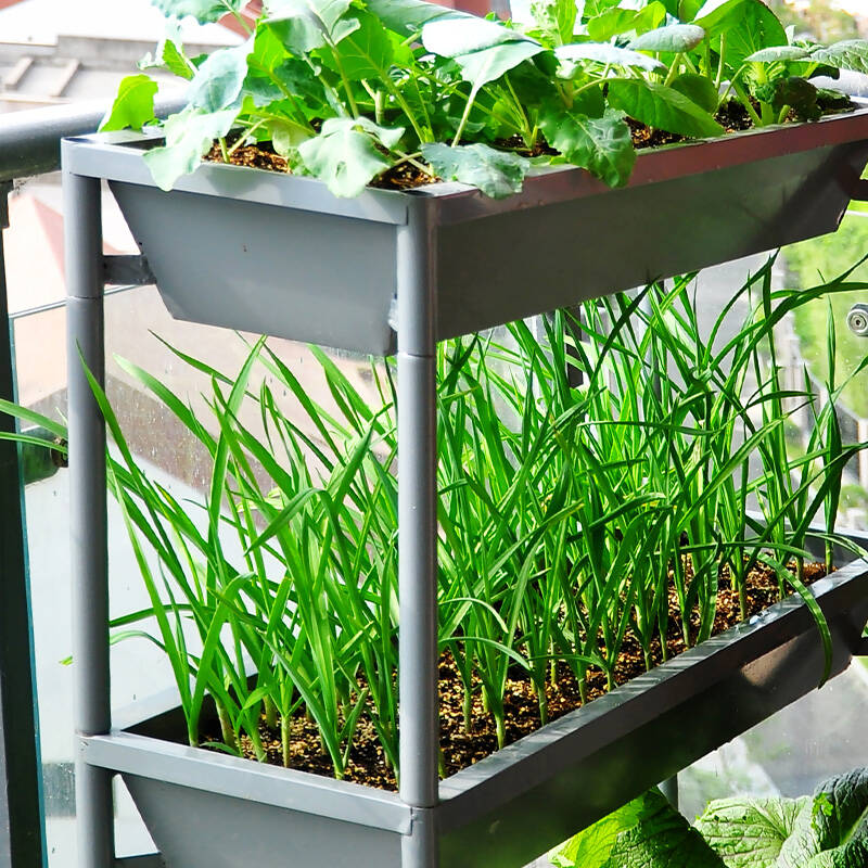 新滢 铁艺花架 阳台蔬菜种植架多功能瓜果种植箱菜园种菜架子