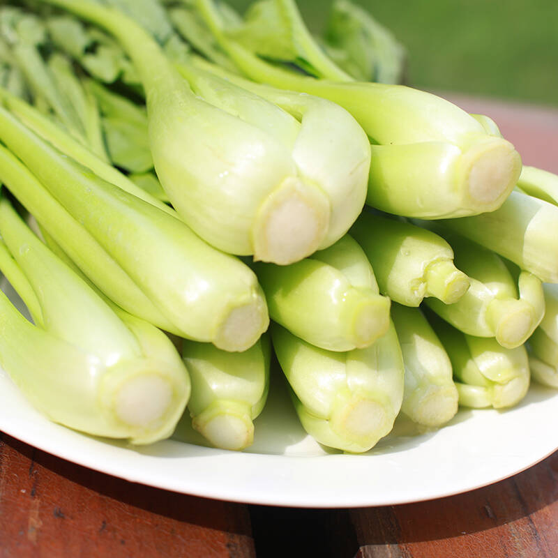 【嘉仕有机】新鲜蔬菜 有机肉白菜200g装 农场直供现货 现摘蔬菜