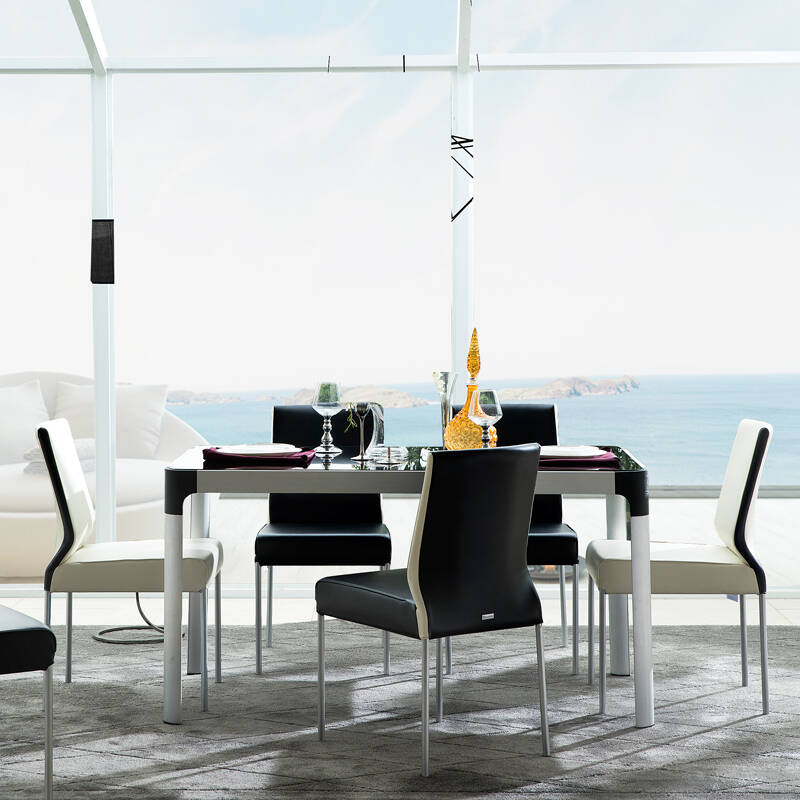 斯帝罗兰 餐台 组合餐桌椅 现代简约小户型钢化玻璃餐桌 ct1332 ck
