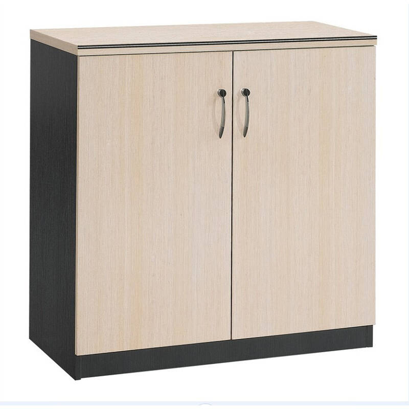 安美诚简约时尚双 门对开大容量储物柜矮柜 门厅柜收纳柜物品 黑浮雕