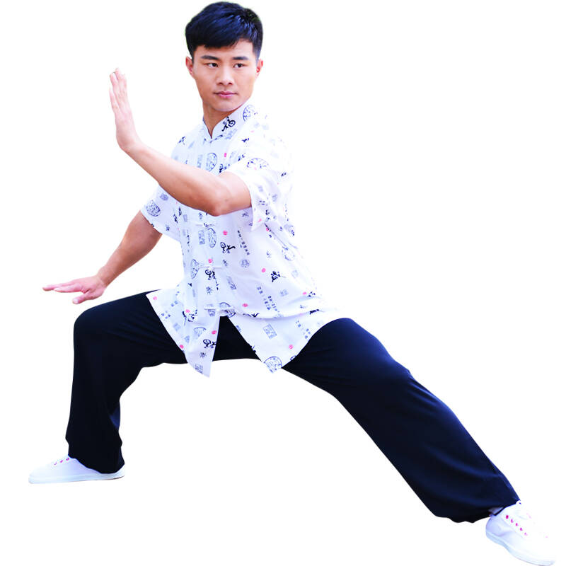 山人运动 短袖休闲太极服人棉太极拳武术晨练服 黑色套装 l