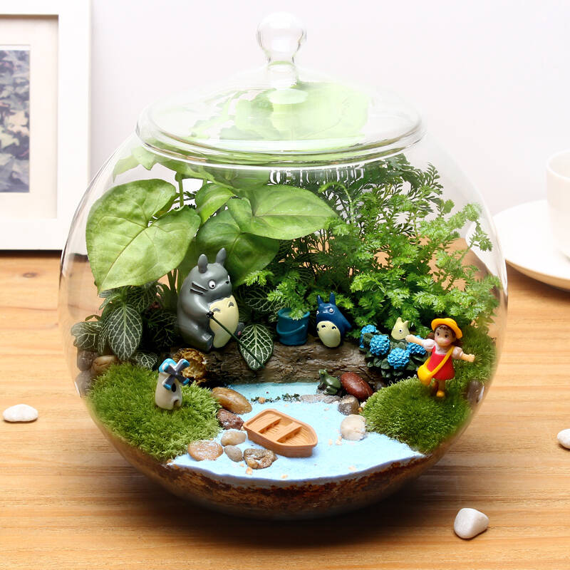 苔藓微景观生态球奇趣植物创意办公室迷你diy盆栽花卉绿植摆件 盛夏