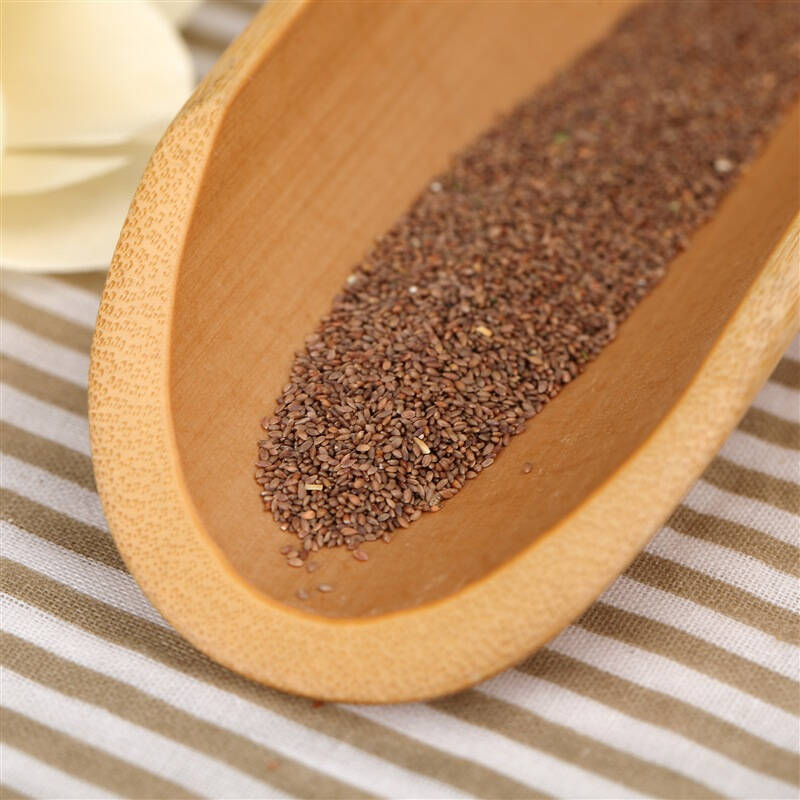 克劳沃 狗牙根 脱壳 进口草坪草种子 0.5kg