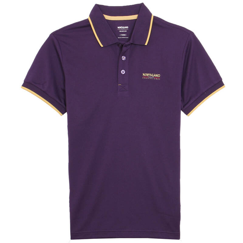 诺诗兰/northland 德斯科男式短袖t恤 gq125038 紫色 170