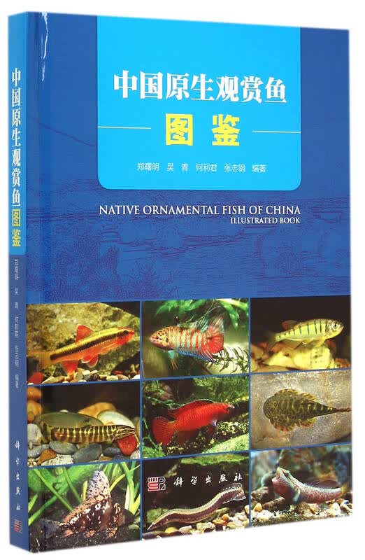中国原生观赏鱼图鉴(精)