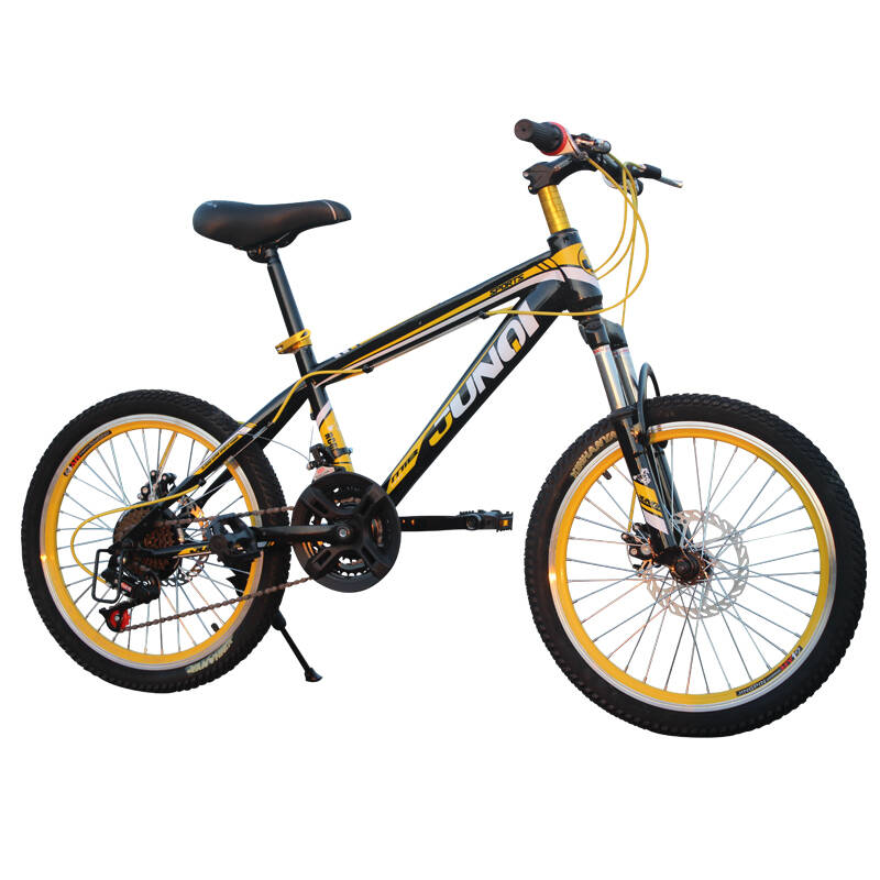 骏骑junqi 小太子nt20寸学生自行车儿童山地车21速越野双碟刹单车男女