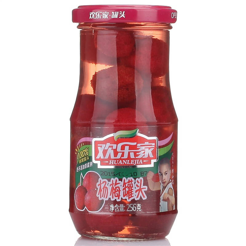 【京东超市】欢乐家 杨梅罐头256g*12瓶