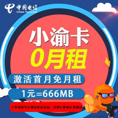 重庆电信 小渝卡 日租卡 1元=666M 号码卡 电话