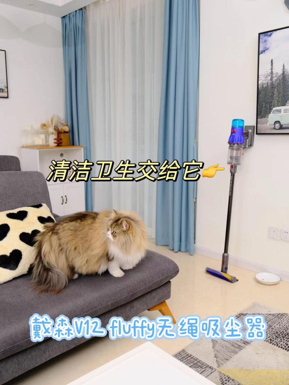 戴森(Dyson)V12 Detect Slim Fluffy 轻量无绳吸尘器 激光探测 除螨宠物家庭适用 （2021款蓝色）,第5张