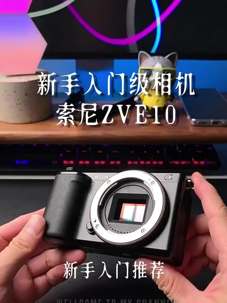 索尼（SONY）ZV-E10 微单数码相机 APS-C画幅 小巧便携 4K专业Vlog视频摄像 ZV-E10L（16-50镜头）标配 黑色,第2张