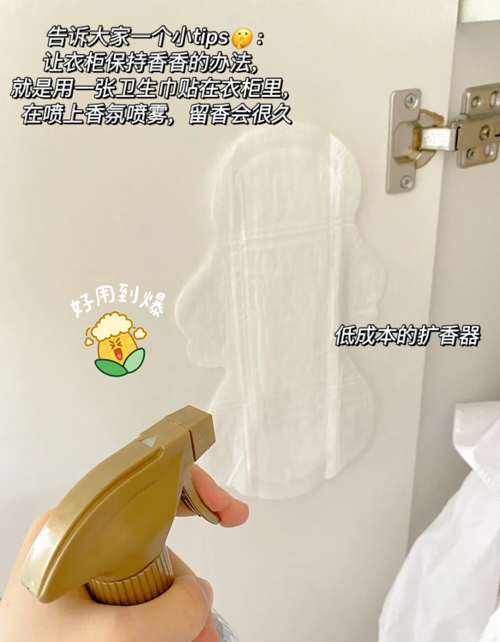 日本进口Laundrin朗德林衣物除味喷雾祛除异味清新空气 经典花香370ml,第4张